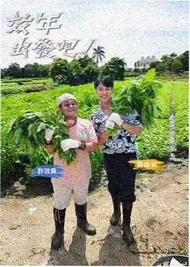 极影影院漫游护照新增印章图案样张
